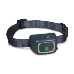 PetSafe Anti-Bark Dog Collar - Citronella Spray Collar Kit - One Size for All Dogs over 3.6kg Fashion