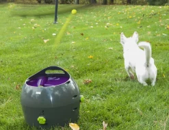 PetSafe Automatic Multi-Angled Ball Launcher for Dogs Fashion