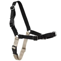 PetSafe Easy Walk Front-Attachment No-Pull Dog Harness New