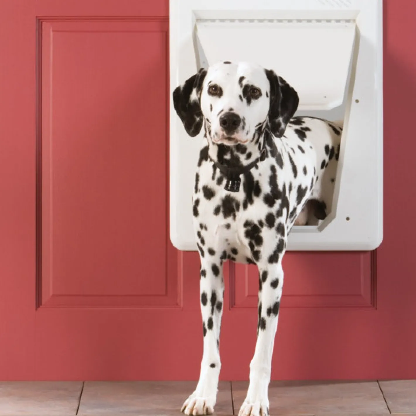 PetSafe Lockable SmartDoor with Radio Frequency Collar Key for Large Dogs Outlet