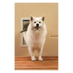 PetSafe Staywell Aluminium Pet Door for Wooden Doors and Walls - includes Flexible Flap Best