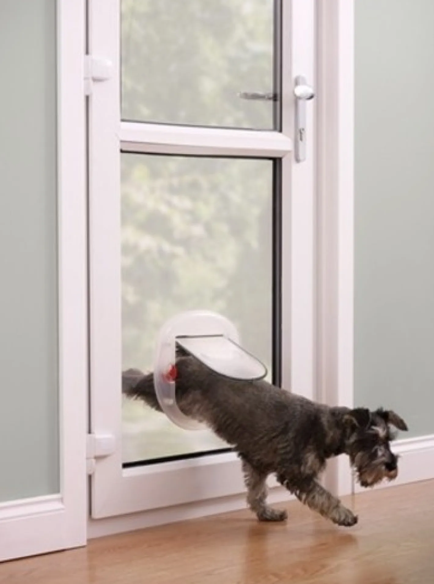 PetSafe Staywell 200-Series Pet Door for Big Cats & Small Dogs Best