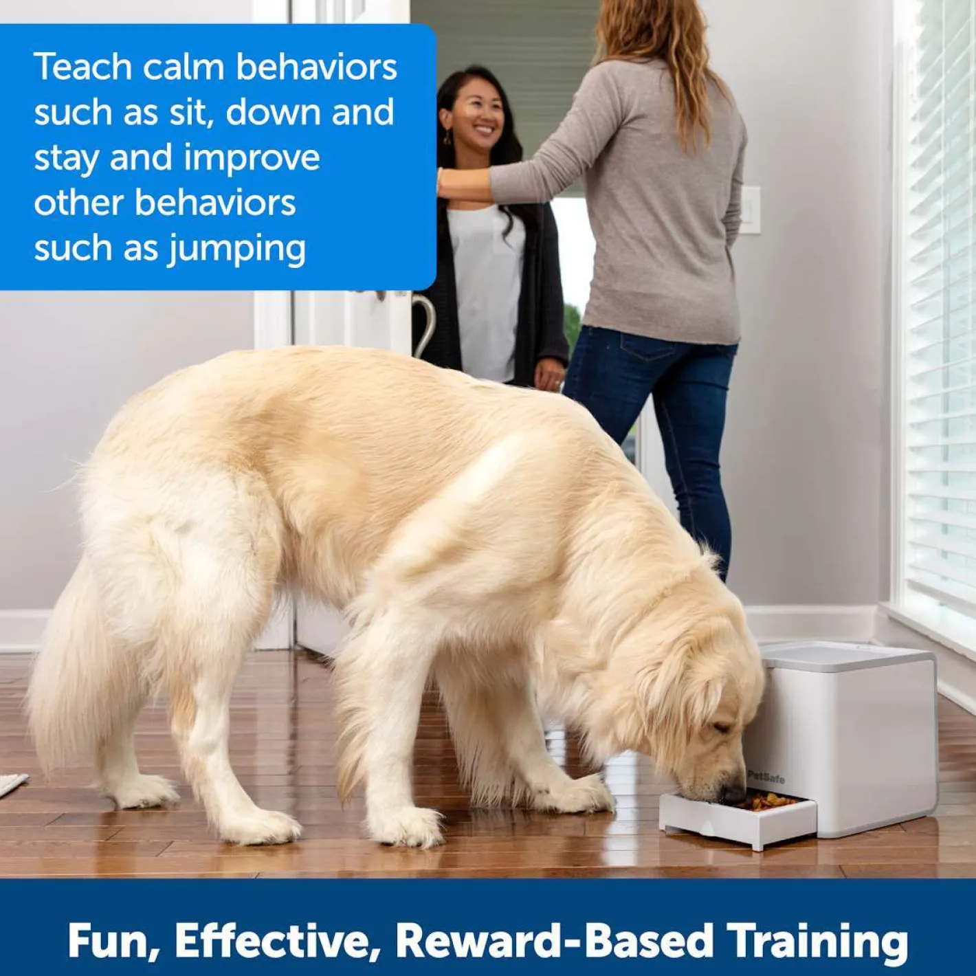 PetSafe Teach and Treat Remote Reward Dog Trainer Treat Dispenser Online