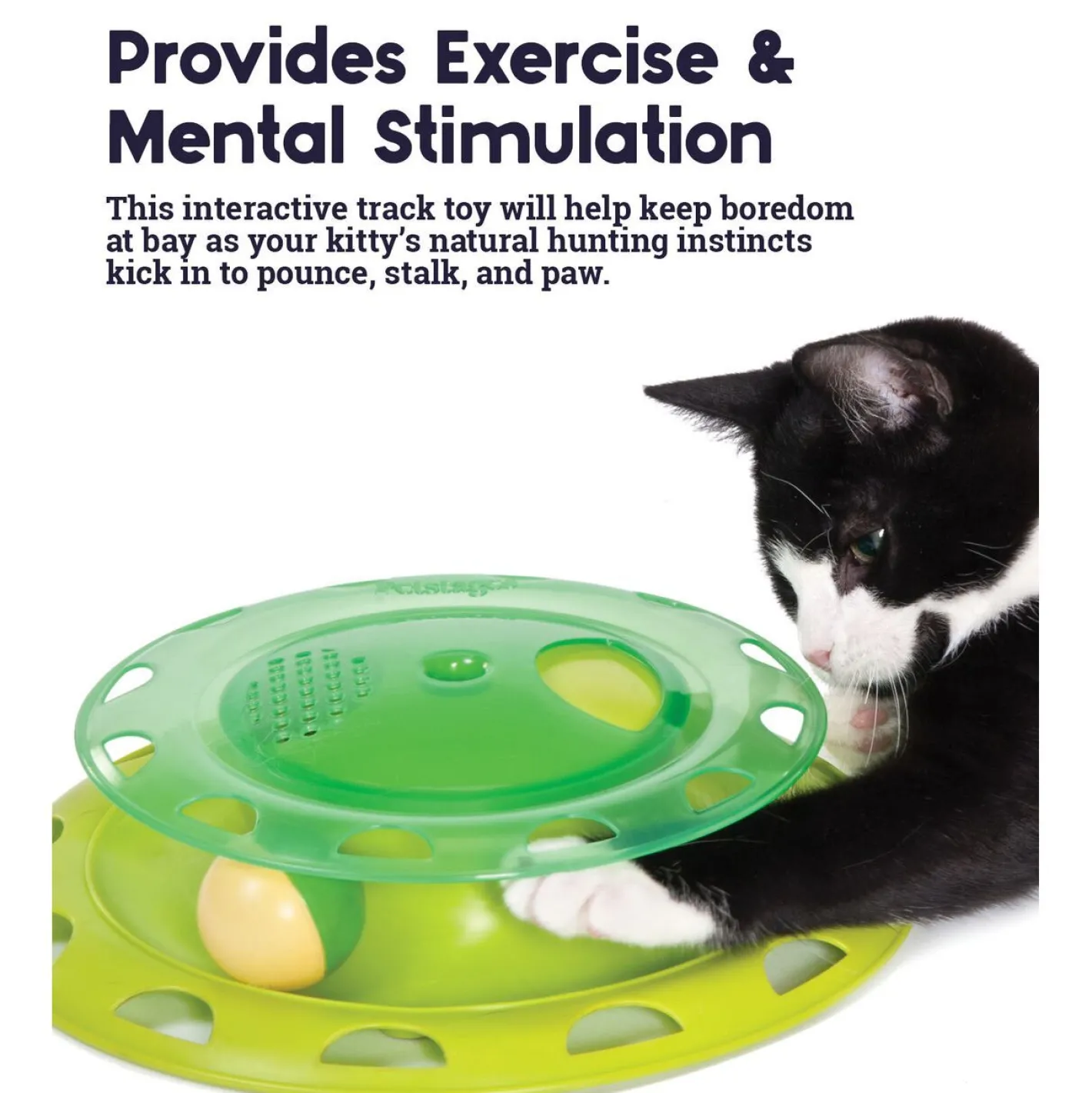 Petstages Catnip Chaser Interactive Cat Toy Hot