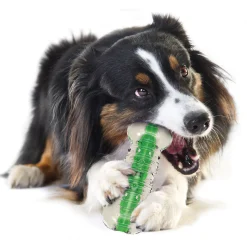 Petstages Crunchcore Crunchy Centre Chew Bone Dog Toy Discount