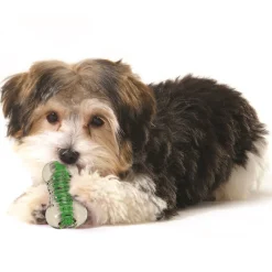 Petstages Crunchcore Crunchy Centre Chew Bone Dog Toy Discount