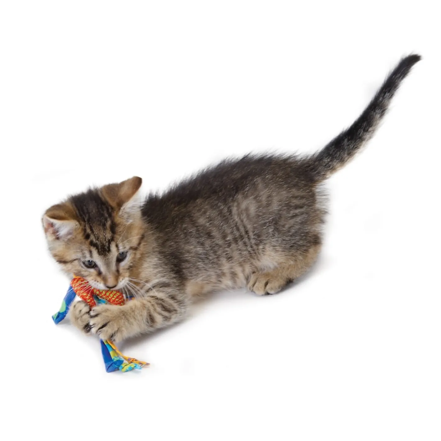 Petstages Dental Health Textures Chews Cat Toys with Catnip - Pack of 2 Toys Outlet