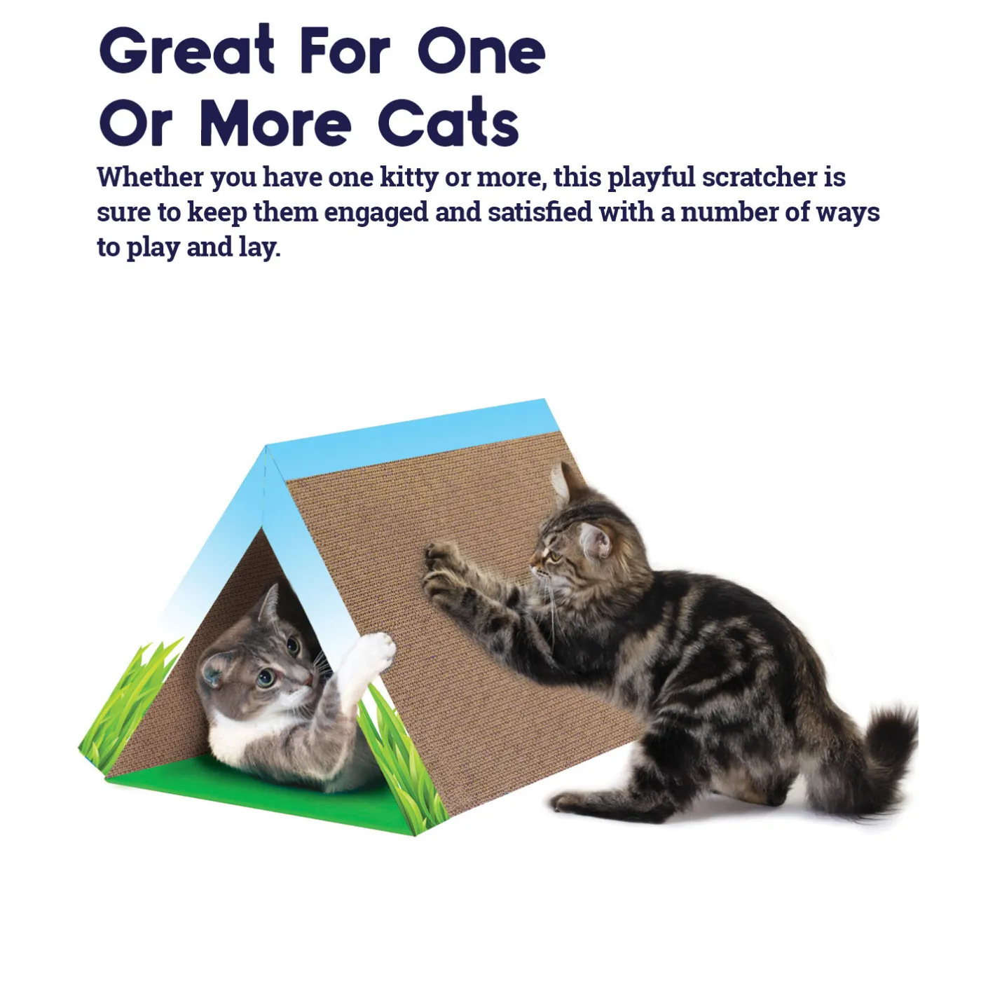 Petstages Fold Away Cardboard Cat Scratcher & Tunnel Hot