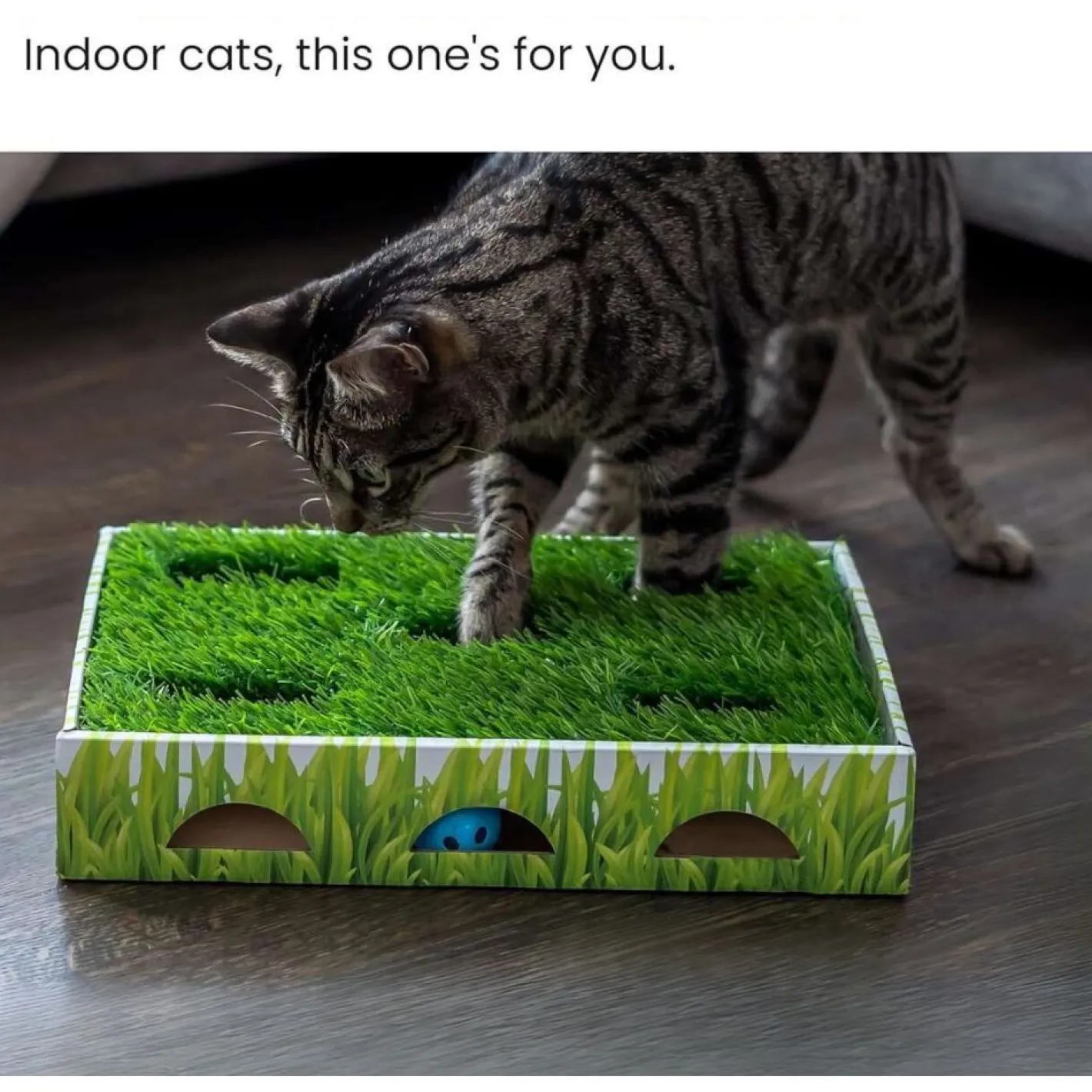 Petstages Grass Patch Hunting Box Interactive Cat Toy with Faux Grass Sale