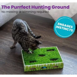 Petstages Grass Patch Hunting Box Interactive Cat Toy with Faux Grass Sale