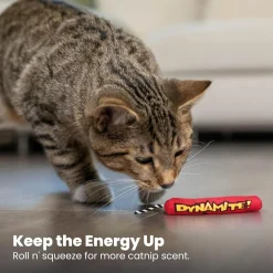 Petstages Green Magic Dynamite Kickaroo Catnip Toy Hot