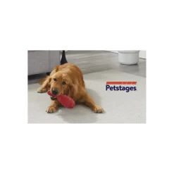 Petstages Grunt & Fetch Rubber Bunny Dog Toy Discount