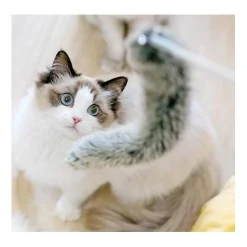Pidan Cat Teaser Add-on Accessories Furry Teaser (A5) Discount