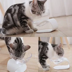 Pidan Designer Raised Cat Bowl with White Base New