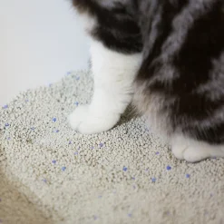 Pidan Premium Bentonite Fast Clumping Dust Free Cat Litter 6kg Online
