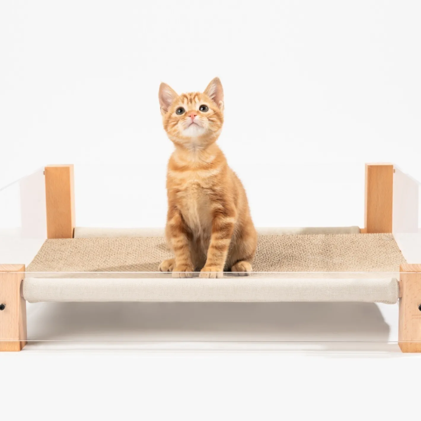 Pidan Sound Sleep Modern Hammock-Style Cat Bed with Bonus Scratch Pad Fashion