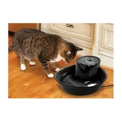 Pioneer Pet Pioneer Big Max Ceramic Pet Drinking Fountain 3.7 litres - Black Discount