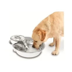 Pioneer Pet Pioneer Big Max Stainless Steel Pet Drinking Fountain 3.6 litres Outlet