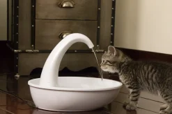 Pioneer Pet "Swan" Large Capacity Charcoal Filtered Plastic Water Fountain 2.3 Litres Discount