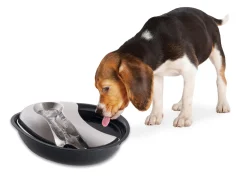 Pioneer Pet Raindrop Pet Drinking Fountain 1.7 litre - Plastic & Stainless Steel Clearance