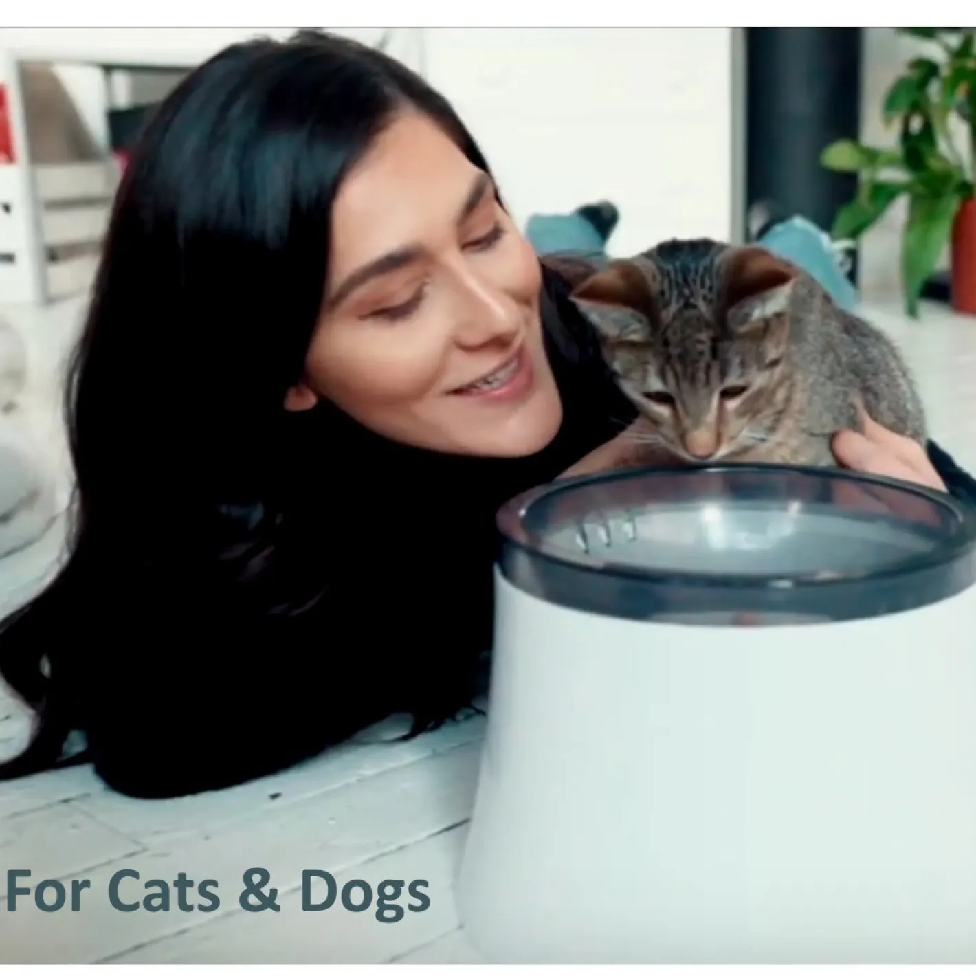 Pioneer Pet Vortex Filtered Water Fountain for Cats & Dogs 3.7 Litres Online