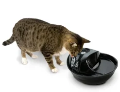 Pioneer Pet Pioneer Raindrop Ceramic Pet Drinking Fountain 1.7 litre - Black Hot