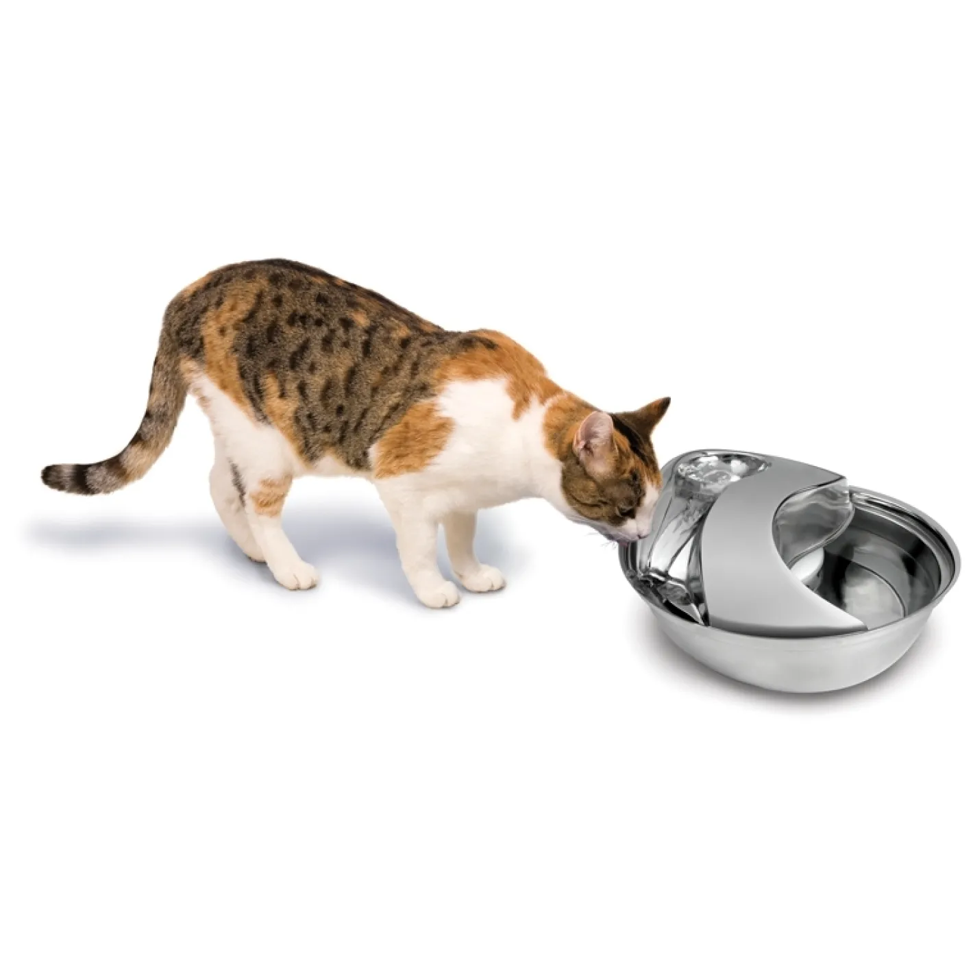 Pioneer Pet Pioneer Raindrop Stainless Steel Pet Water Fountain 1.6 litres Sale