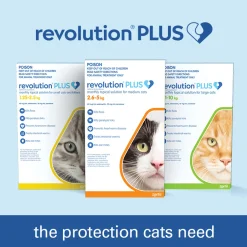Revolution PLUS Flea, Worm & Tick Topical Prevention for Adult Cats 6-Pack Online
