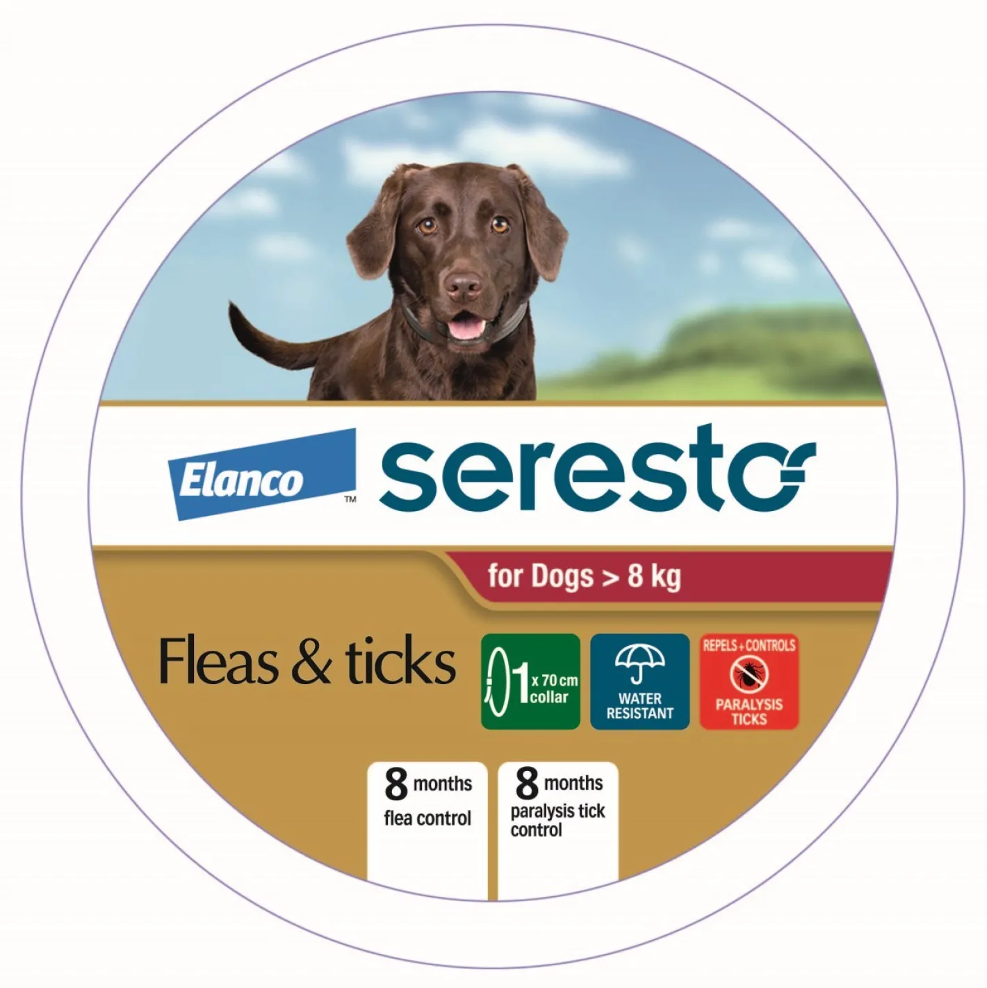 Seresto Flea & Tick Collar for Dogs Over 8kg - Up to 8 Month Protection Best