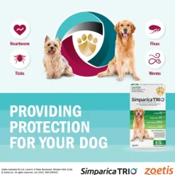 Simparica Trio Flea, Tick & Heartworm Chew for Extra Large Dogs 40.1-60kg New