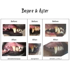 Simply Seaweed Natural Dental Health Care for Cats & Dogs - 1.5kg Fashion