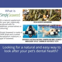 Simply Seaweed Natural Dental Health Care for Cats & Dogs 40g/200g Hot