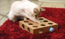 SmartCat Smart Cat Original Peek-and-Play Interactive Cat Toy Box with Bonus Toys Clearance