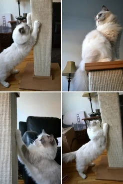 SmartCat Ultimate Heavy-Duty Sisal Cat Scratch Post Hot