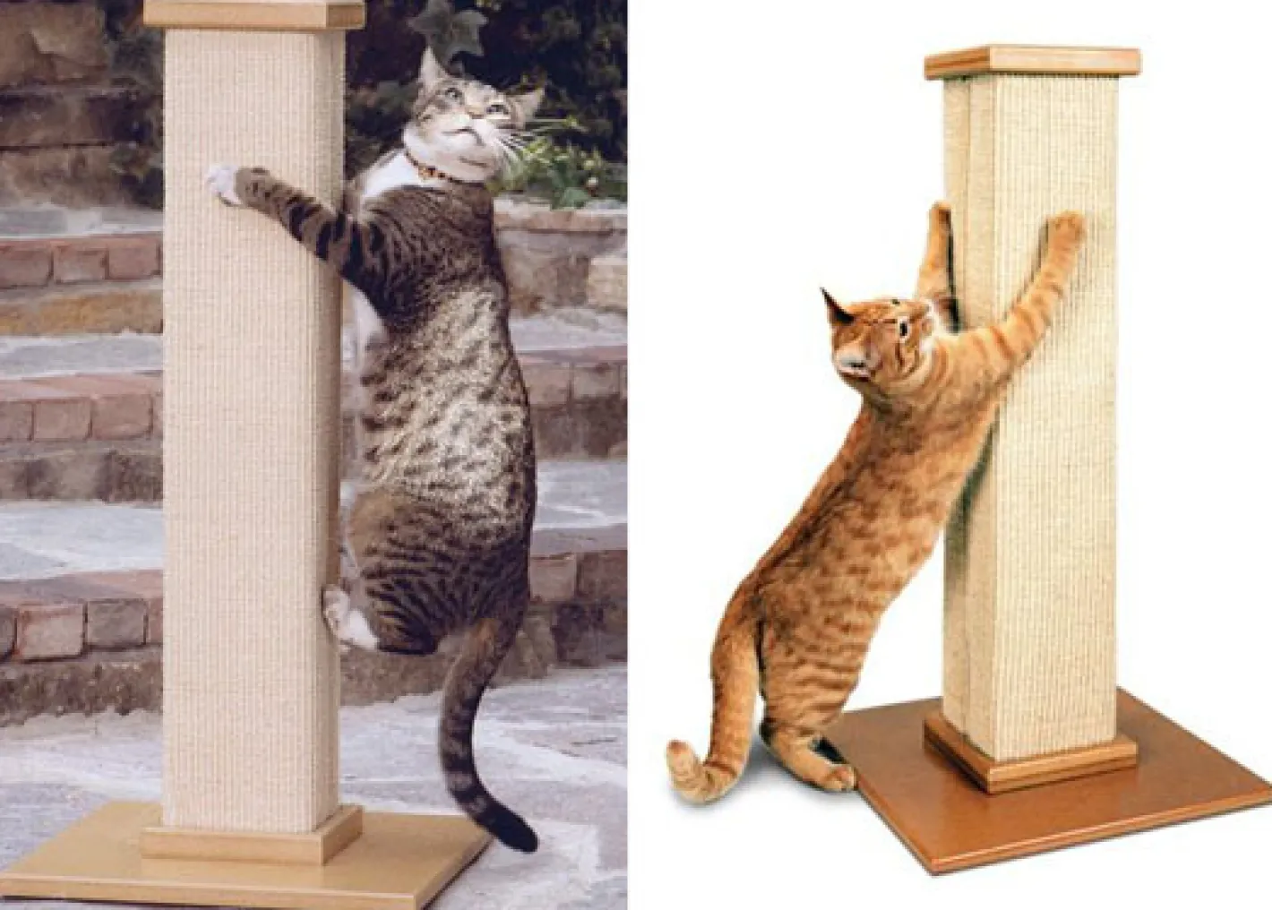 SmartCat Ultimate Heavy-Duty Sisal Cat Scratch Post Hot