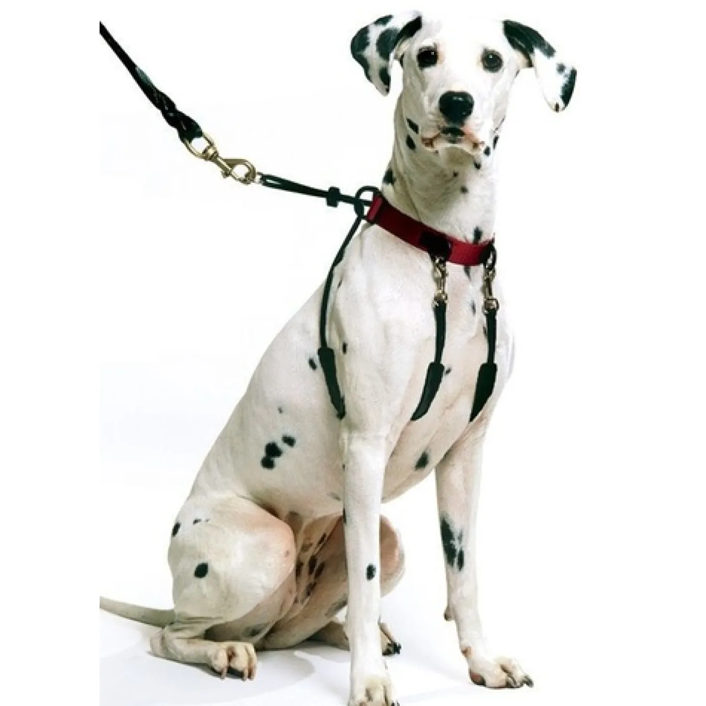 Sporn Halter Harness - The Safe & Humane Dog Halter - Small Online