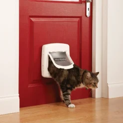 PetSafe Staywell Deluxe Magnetic Cat Flap Door Set Best