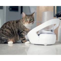Sure Petcare Felaqua Connect Water Fountain & WIFI Connect Hub Combo Option Outlet