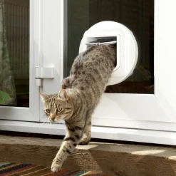 Sure Petcare SureFlap Automatic Microchip Cat Door for Cats and Small Dogs - SMALL DOOR Hot
