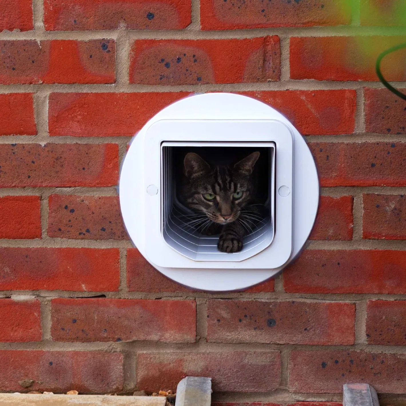 Sure Petcare SureFlap Automatic Microchip Cat Door for Cats and Small Dogs - SMALL DOOR Hot