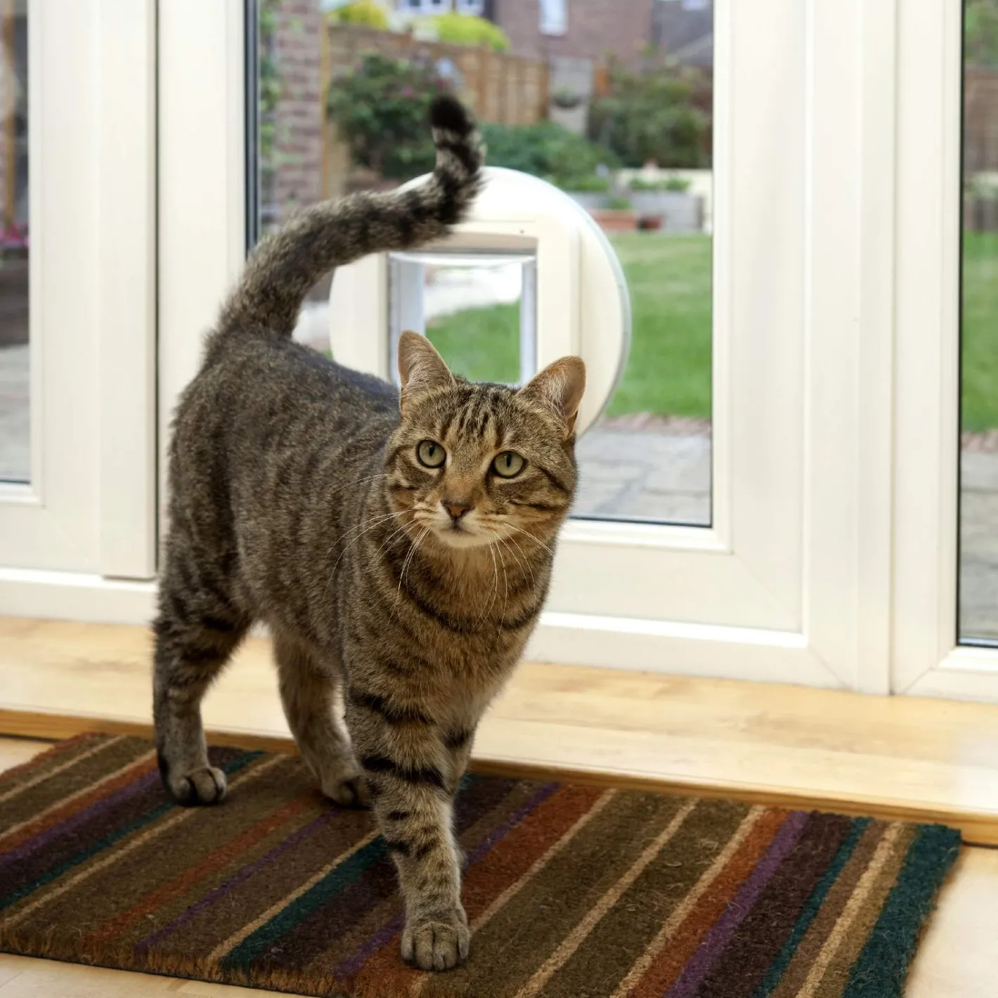 Sure Petcare SureFlap Automatic Microchip Cat Door for Cats and Small Dogs - SMALL DOOR Hot