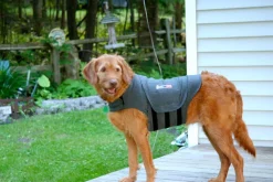 Thunderworks Thundershirt - Anti-Anxiety Calming Vest for Dogs XS-XXL Clearance