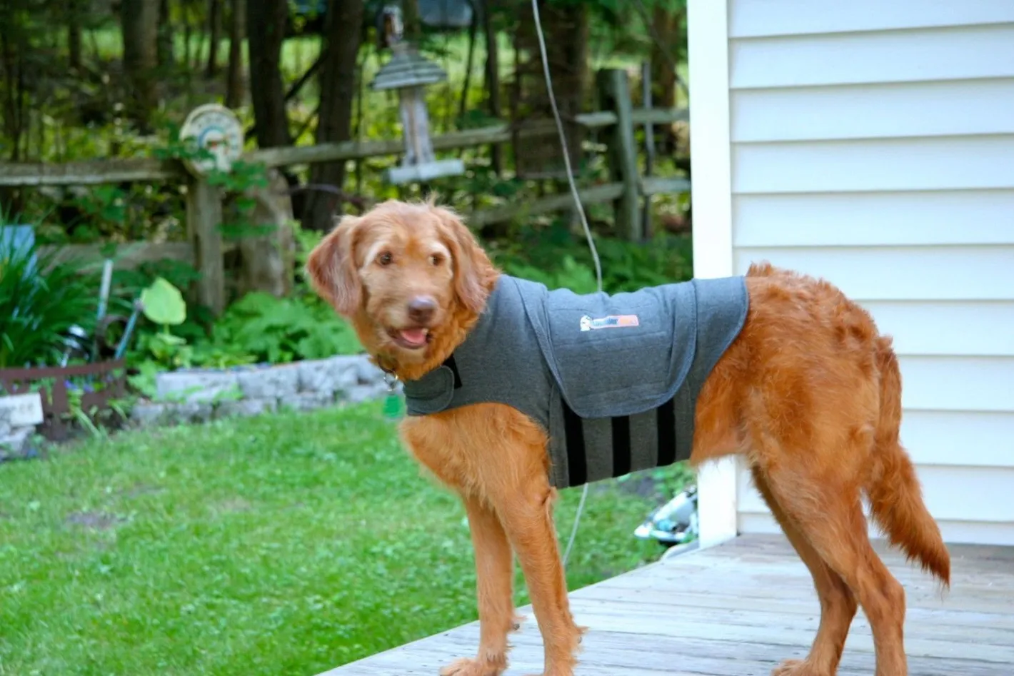 Thunderworks Thundershirt - Anti-Anxiety Calming Vest for Dogs XS-XXL Clearance