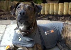 Thunderworks Thundershirt - Anti-Anxiety Calming Vest for Dogs XS-XXL Clearance