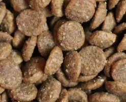 Vetalogica Feline Tranquil Anti-Anxiety Cat Formula - 120 chews Fashion