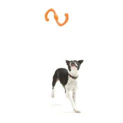 West Paw Bumi Tug & Fetch Zogoflex Dog Toy Clearance