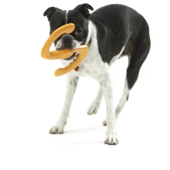 West Paw Bumi Tug & Fetch Zogoflex Dog Toy Clearance