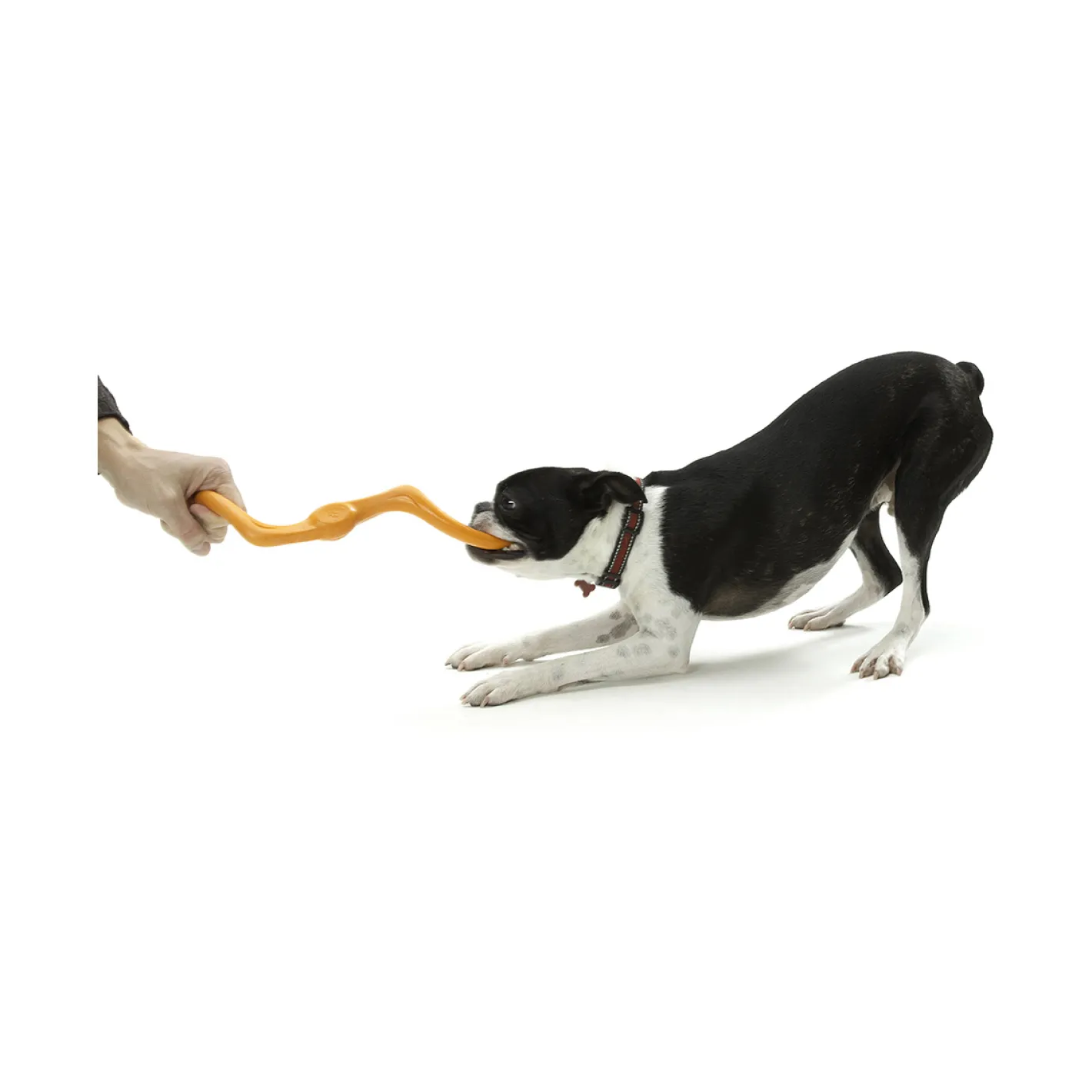 West Paw Bumi Tug & Fetch Zogoflex Dog Toy Clearance