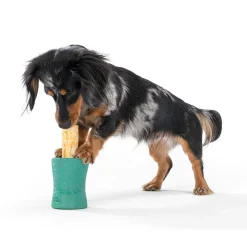 West Paw Funnl Dog Treat & Chew Hiding Toy for Moderate Chewers Fashion