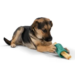 West Paw Funnl Dog Treat & Chew Hiding Toy for Moderate Chewers Fashion